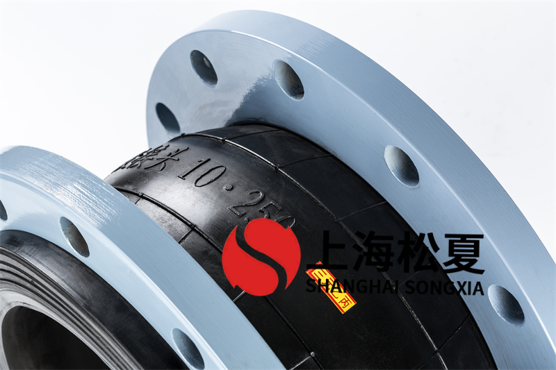 臥式熱水循環泵用橡膠減振軟接